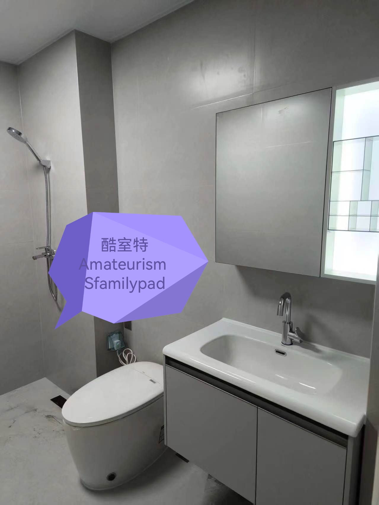 汉中酷室特智能坐便器